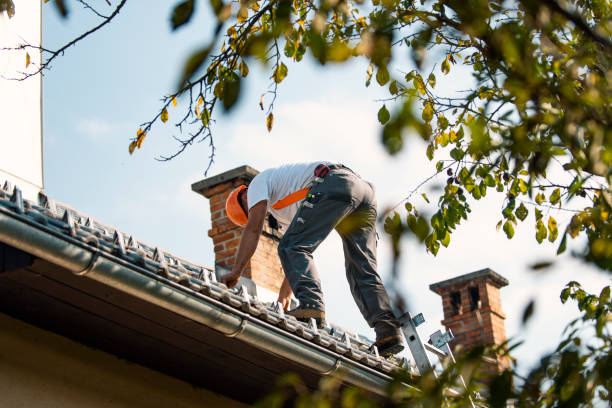 Best Residential Roof Replacement  in Silver Creek, NY
