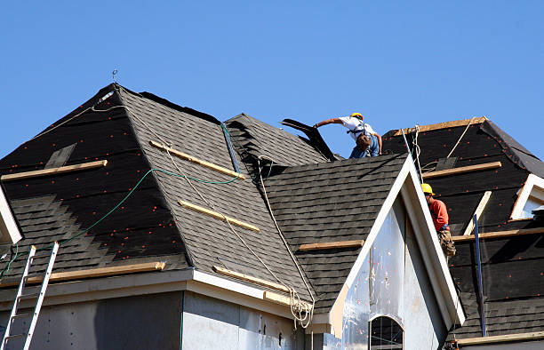 Best Metal Roofing Contractor  in Silver Creek, NY