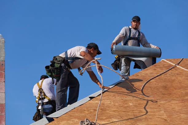 Best Gutter Installation and Roofing  in Silver Creek, NY