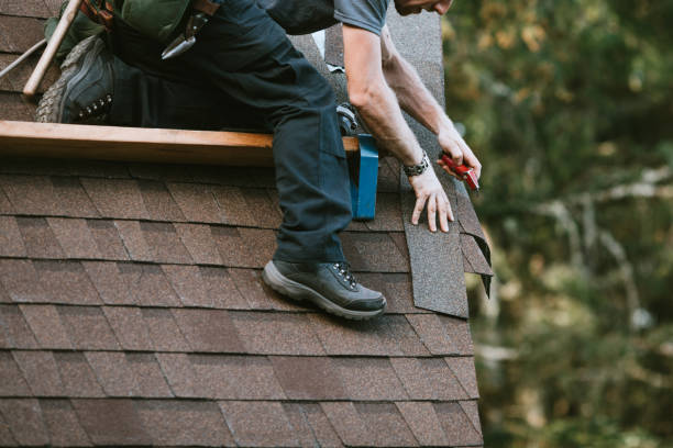 Best Roof Gutter Cleaning  in Silver Creek, NY