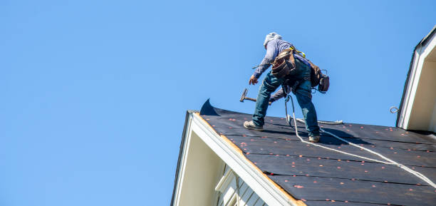 Best Roof Maintenance Services  in Silver Creek, NY